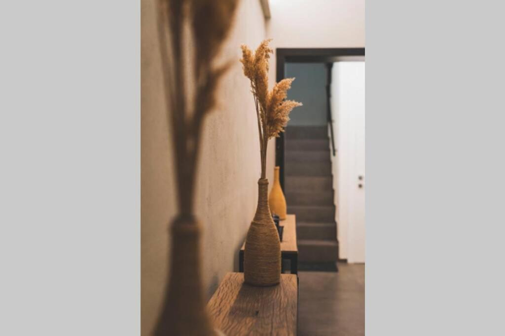 摩德纳Torre 13公寓 外观 照片
